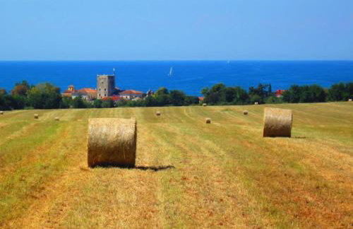 Guest House Mareda Palms - Photo 25