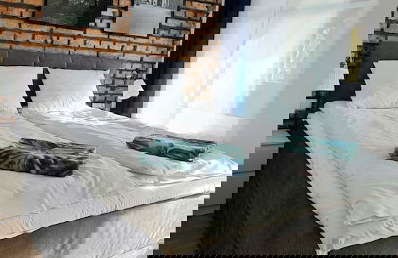 Apartamenty Dębowa 3 - Foto 14