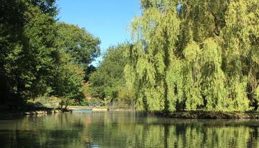 le petit clos - Photo 2