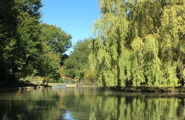 le petit clos - Photo 2