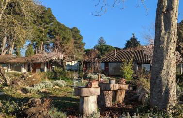 Chalet sul Trasimeno - Photo 21