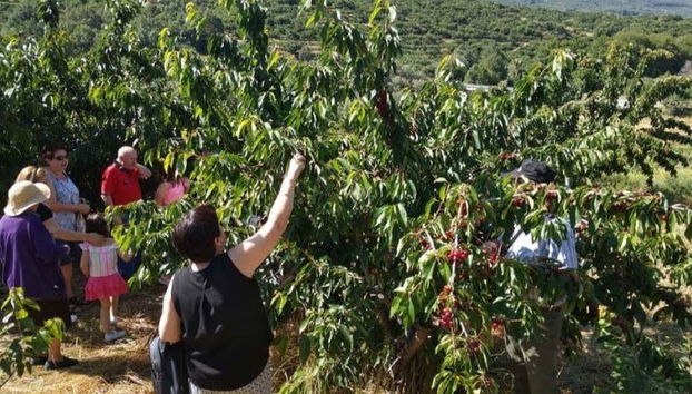 Tour en 4x4 por el Valle del Jerte + Recogida de cerezas - Photo 2