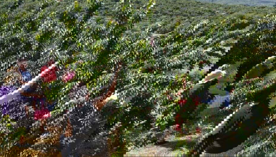 Tour in Jerte - Photo 1