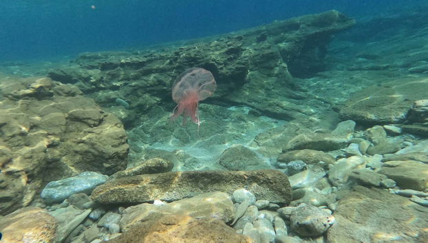 Profitez de l'expérience