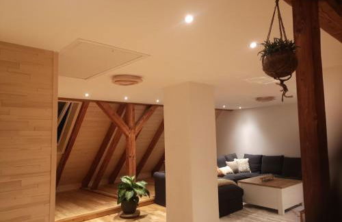 Apartment Moderne Ferienwohnung mit Hot Tub und Fasssauna by Interhome - Foto 11