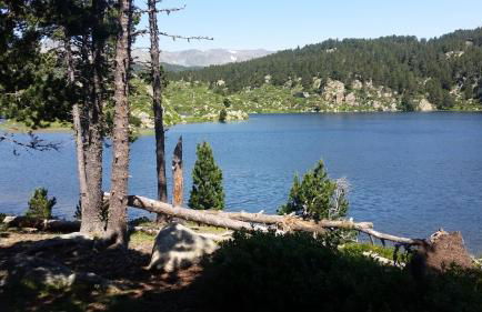 Chalet Edliane - Foto 34