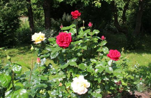 "Villa am Waldweg" Comfortable holiday residence - Foto 15