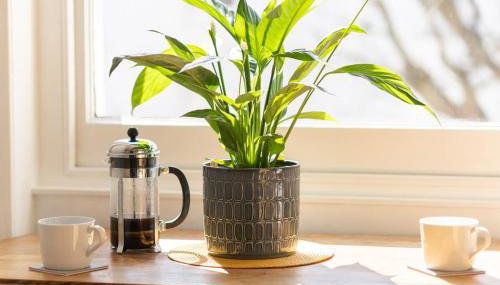 Host & Stay - Alexandra Villas - Foto 5