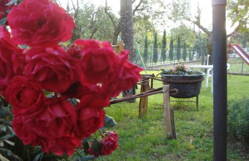 Agriturismo La Fattoria - Foto 11