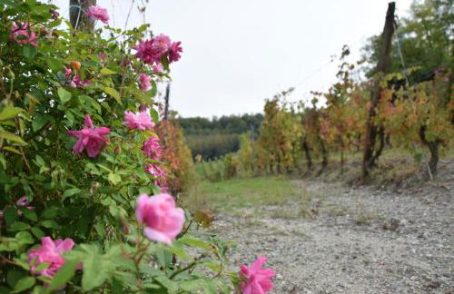 Le Magnolie - Foto 37