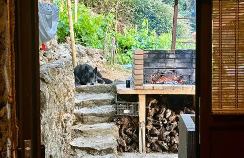 cabaña do rei - Foto 55