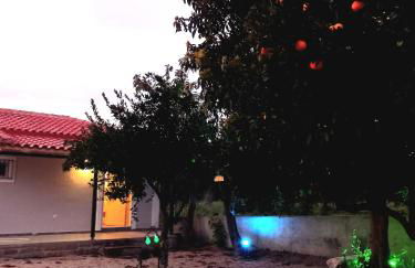 Avocado house - Photo 10