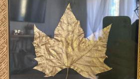 Chalé House Falkenberg - Foto 4