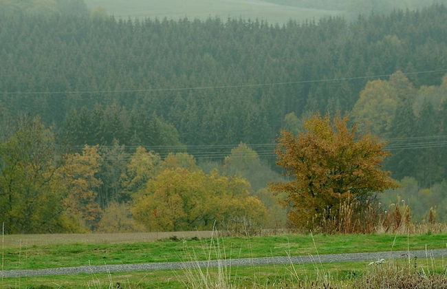 Chalet in Gerolstein Near Forest Trails - Foto 43