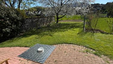 In der Nähe von Baden-Baden - Foto 3