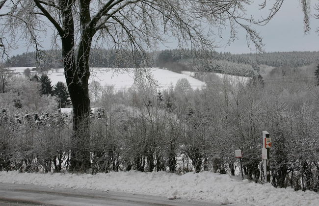 House in the Belgian Countryside, Ideal Base for Many Fine Excursions - Foto 40
