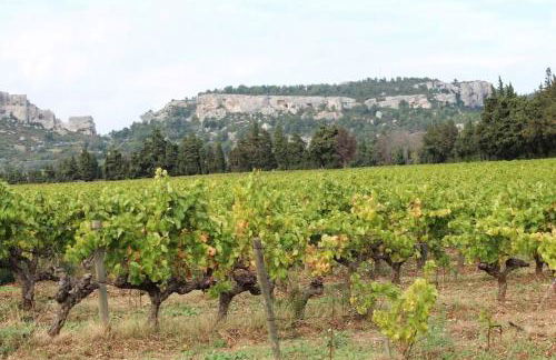 LA PETITE MAISON DE MAUSSANE *** - Foto 33