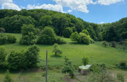 Ferienwohnung - Appartement "Painted Horse" im Herzen des Pfälzer Waldes - Foto 8