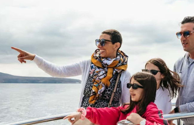 Los Cristianos Whale + Dolphin Watching Boat Tour - Photo 1