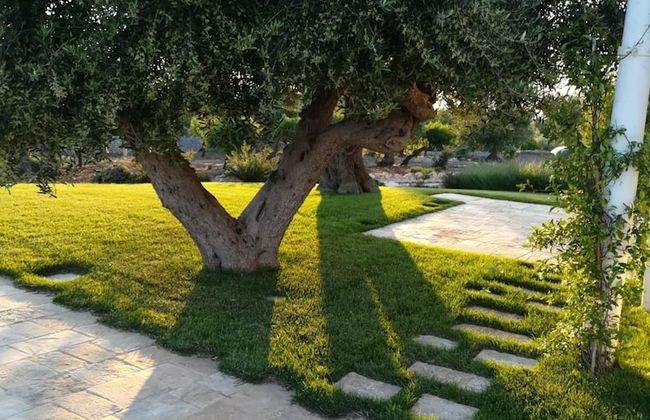 Trulli Lamascrasciola - Foto 19