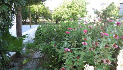 Leventis Apartments - Foto 2, Garden