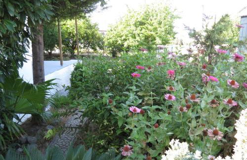 Leventis Apartments - Photo 2