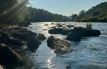 Forest house Niko - Foto 20