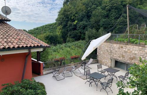 Agriturismo Vigneto Vecio - Foto 45