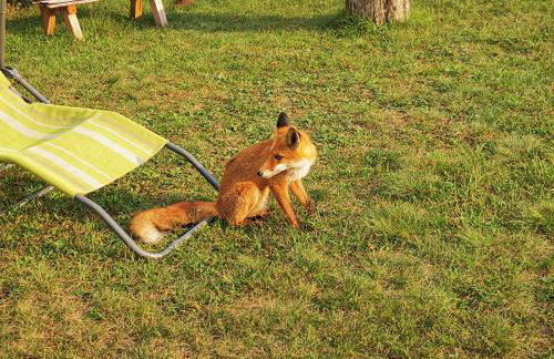 Home La Sierra with WHIRLPOOL BATH for two - Foto 31