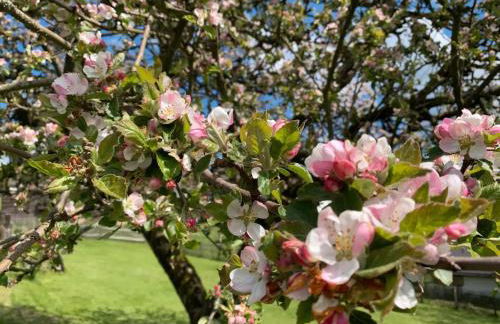 Fewo Allezeit Sauerland - Foto 34