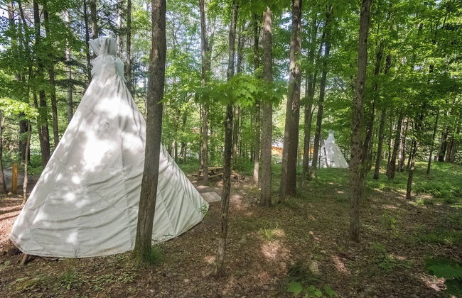 Parc Omega - Foto 80