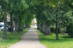 Ferienwohnung 2 in Nähe der Ostsee - Foto 19