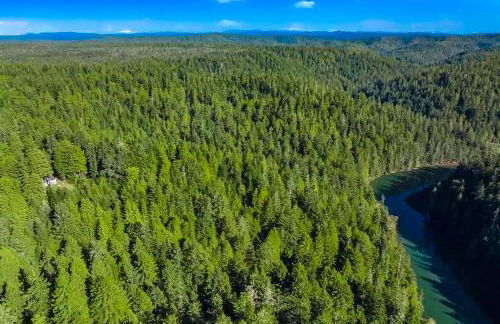 Mendocino Redwood Retreat Home & Cottage - Foto 62