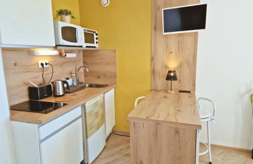 Studio 2 pers au pied des pistes - Ski et rando - FR-1-393-185 - Foto 2