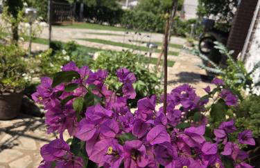 Sobe Randelj - Foto 31