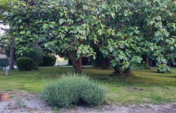 Les jardins du Canal - Foto 33