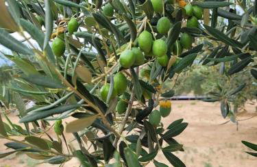 Apartman Milanko - Foto 29