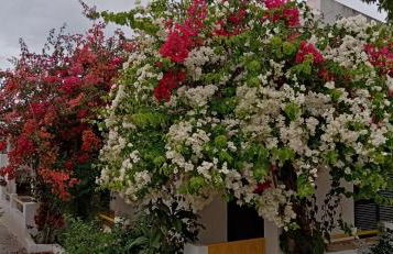 le Boucanier - Foto 66