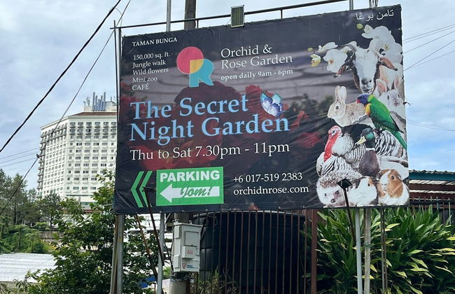 The Retreat mountain view at Cameron - Photo 58