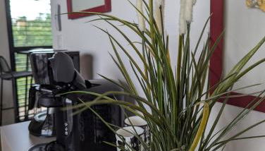 Pré Madame, Terrasse, Parking - Foto 5