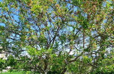 Casa Rural la Insula - Foto 28