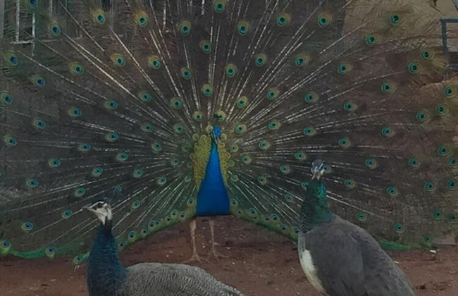 The Cradle Rest - Foto 44