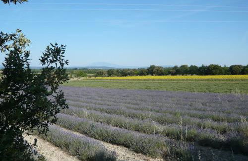 Entre garrigue et potager bio - Foto 45