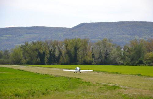 Podere Calledro - Foto 64