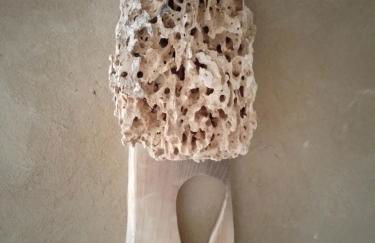 Quartier im Gutshaus - Foto 40