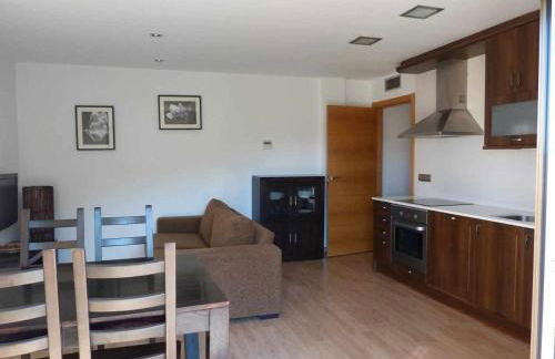 Apartamentos Puerta de Ordesa - Photo 31