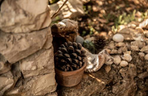 Apartman Silna your new home with terrace and garden - Foto 68