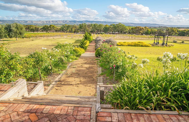 Condor Estate with Vineyard & Fireplace - Foto 34