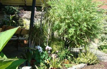 Ferienwohnung TOSCANA - Foto 8