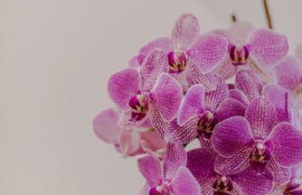 British Square - Stylish Apartment with Private Parking - Foto 16